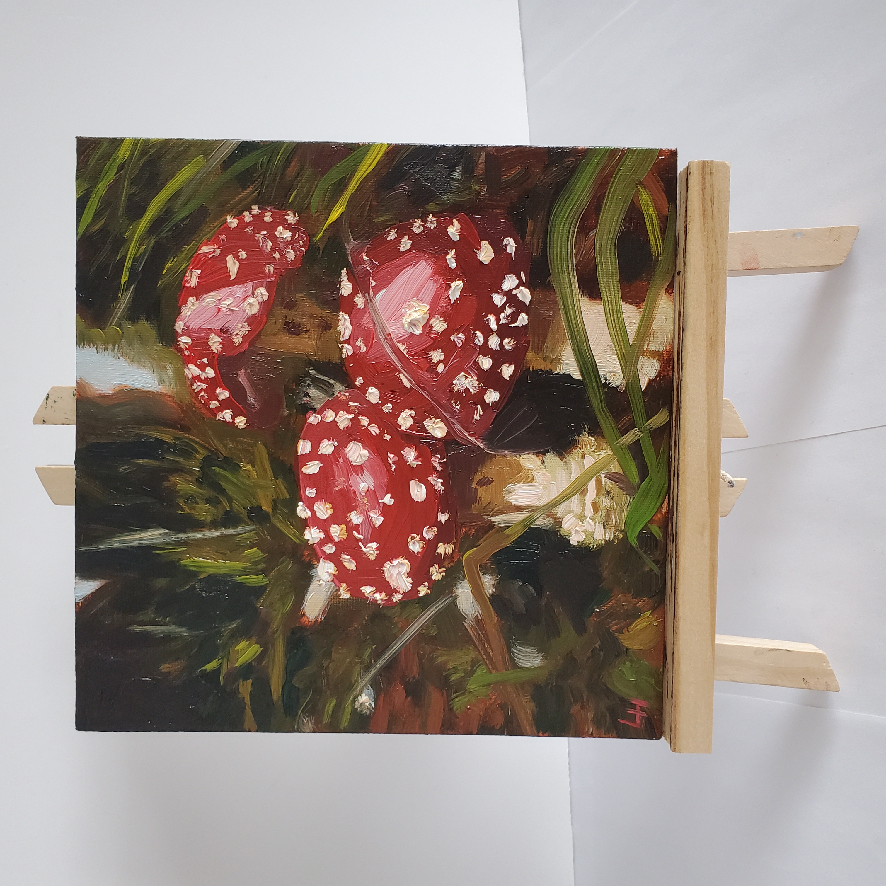Fly Agaric